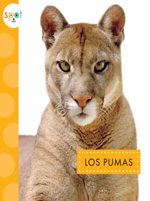 cover image of Los pumas